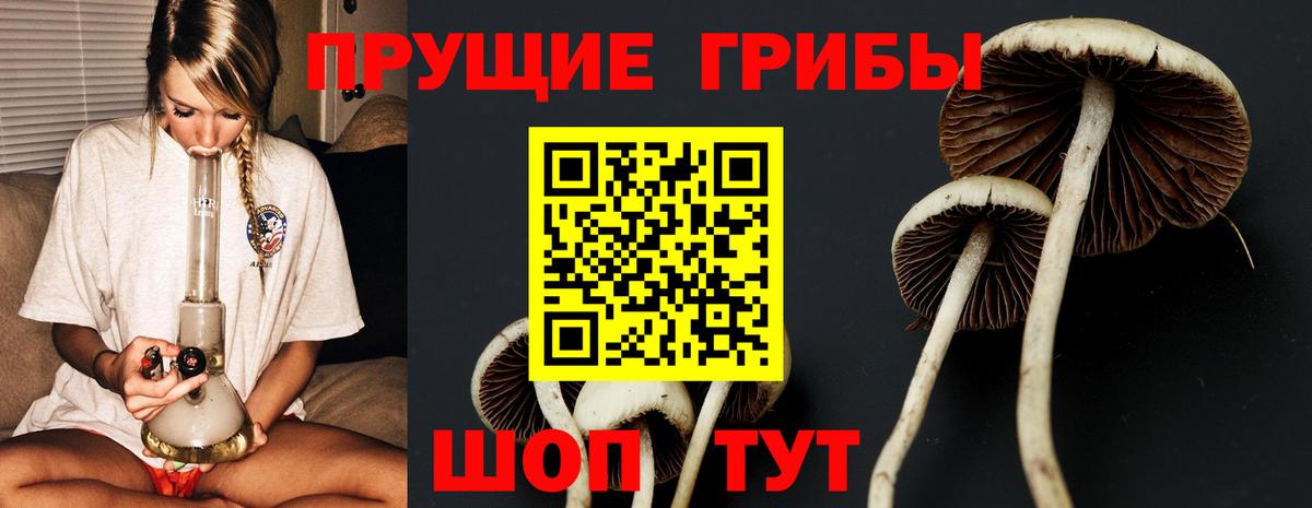 Галлюциногенные грибы Magic Shrooms Лысьва